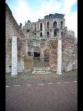 DSC_1114.NEF