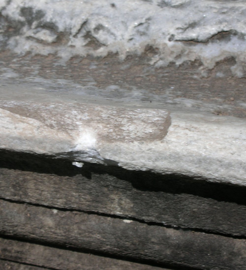 DSCN2469.JPG