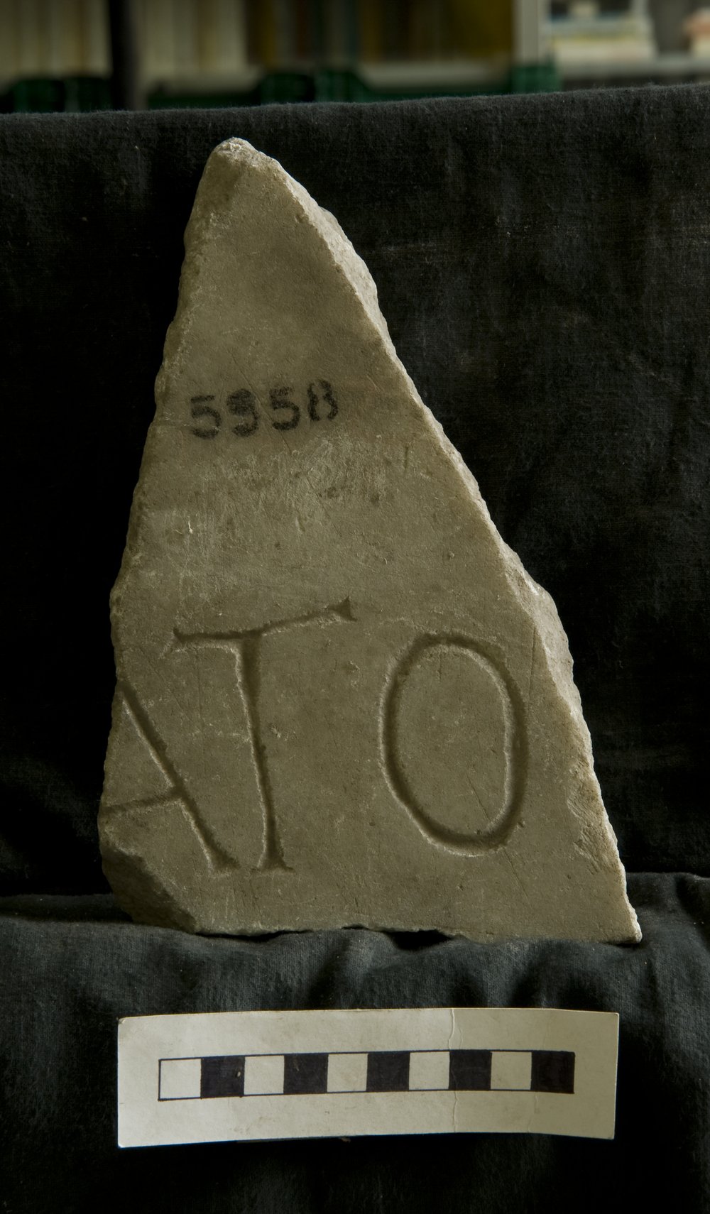 5558a.tif