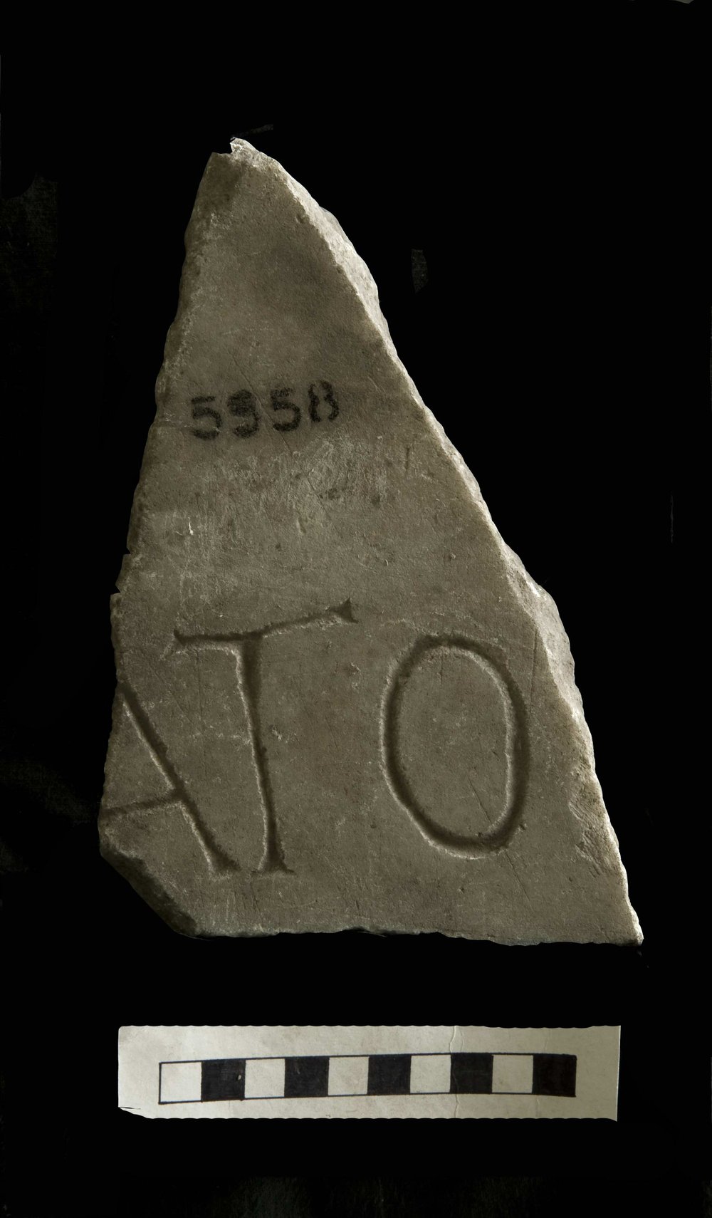5558a.jpg