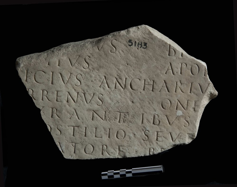 inv.5183.jpg