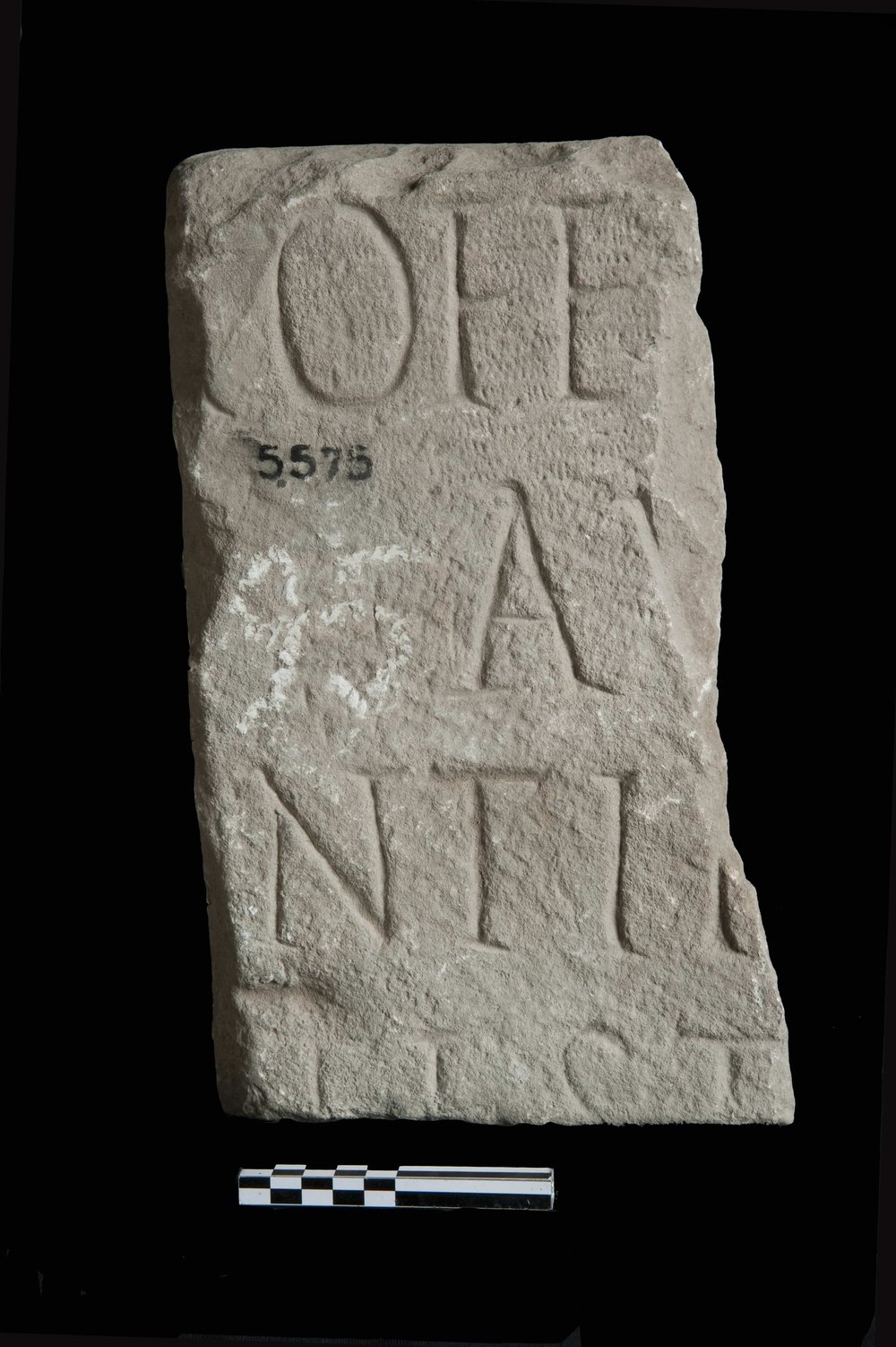 inv.5575.jpg