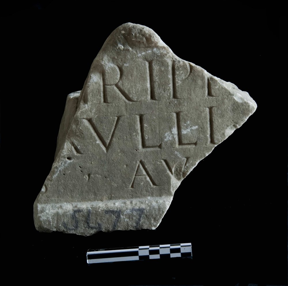 inv.5477.jpg
