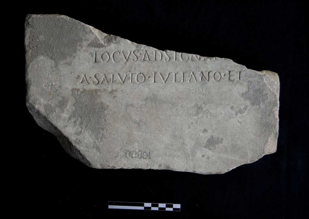 DSC_6220jpg.jpg