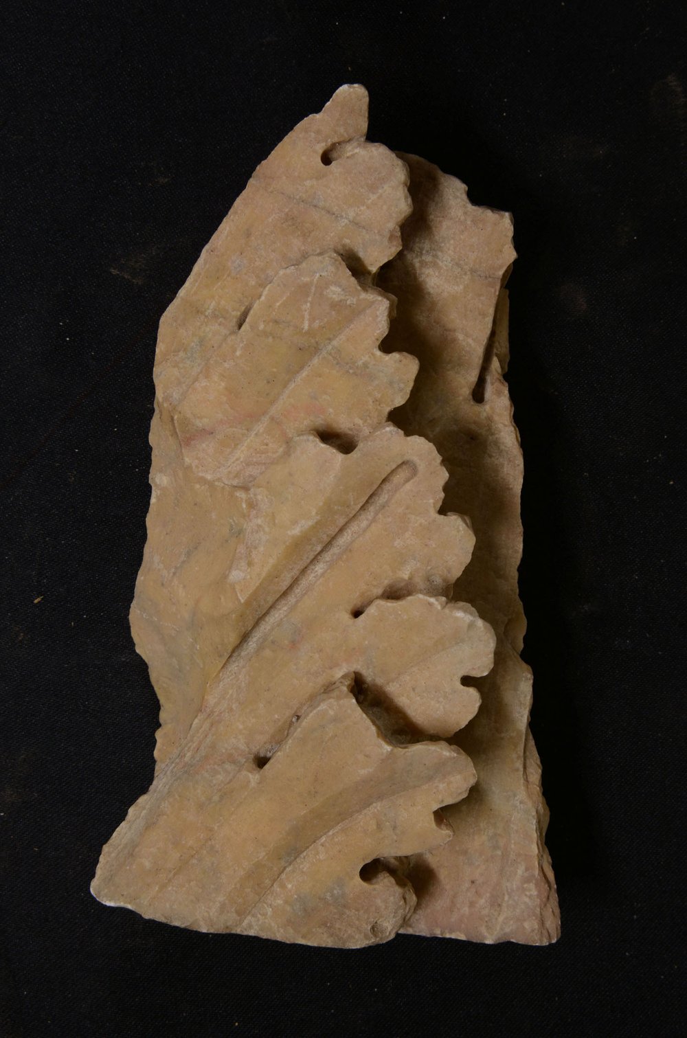Inv379577.jpg