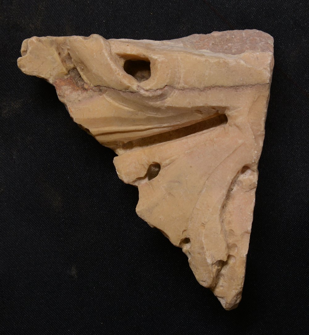 Inv 379573.jpg