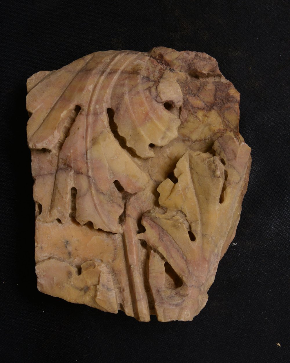 Inv379574.jpg