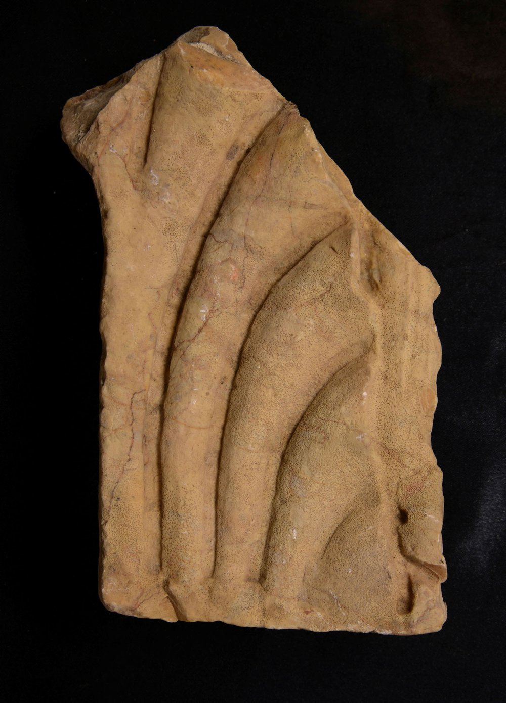 Inv 381790.jpg
