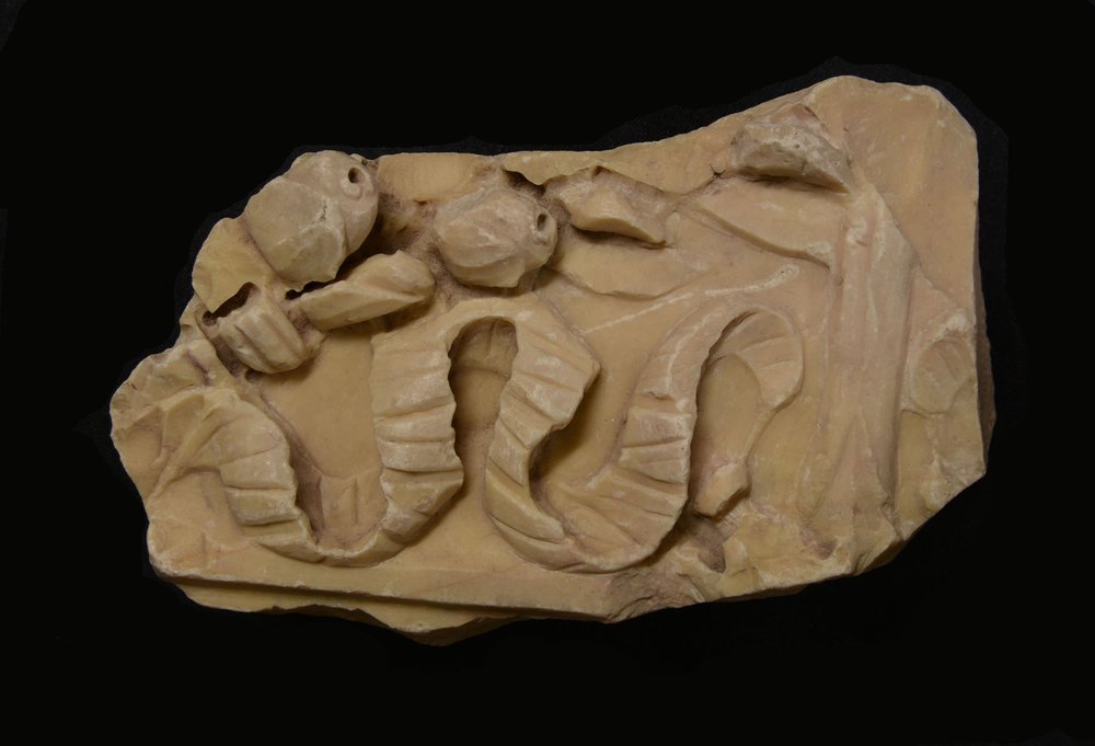 Inv11460.jpg