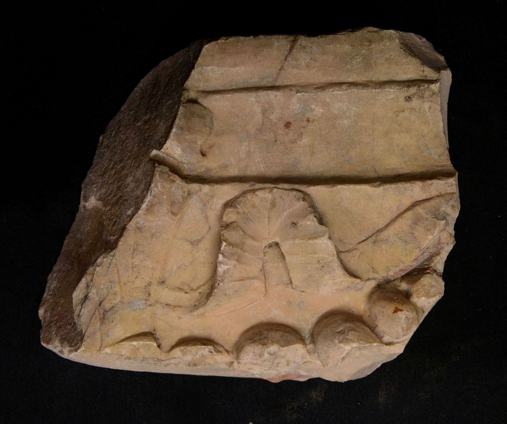 In v52822-3.jpg
