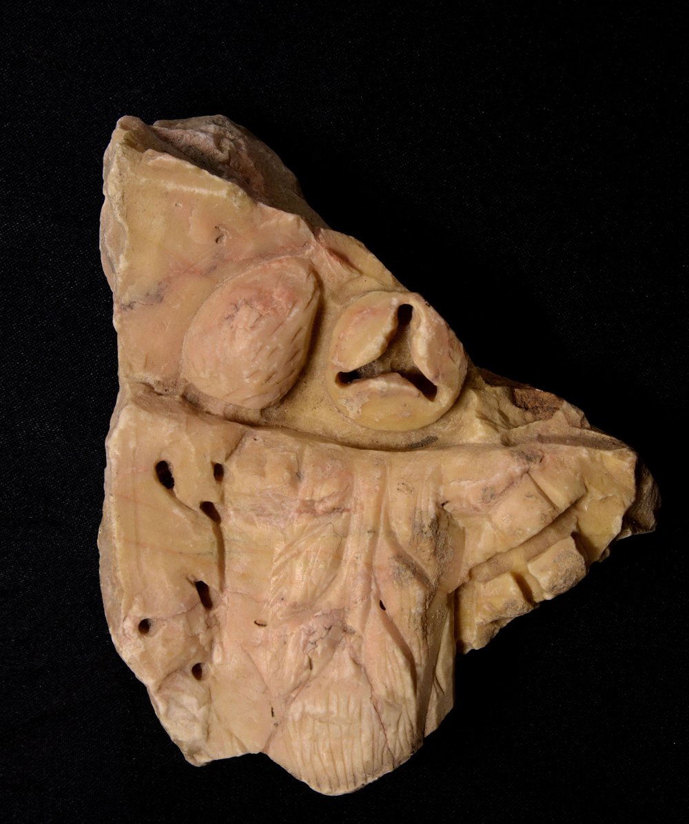 DSC_1388.jpg