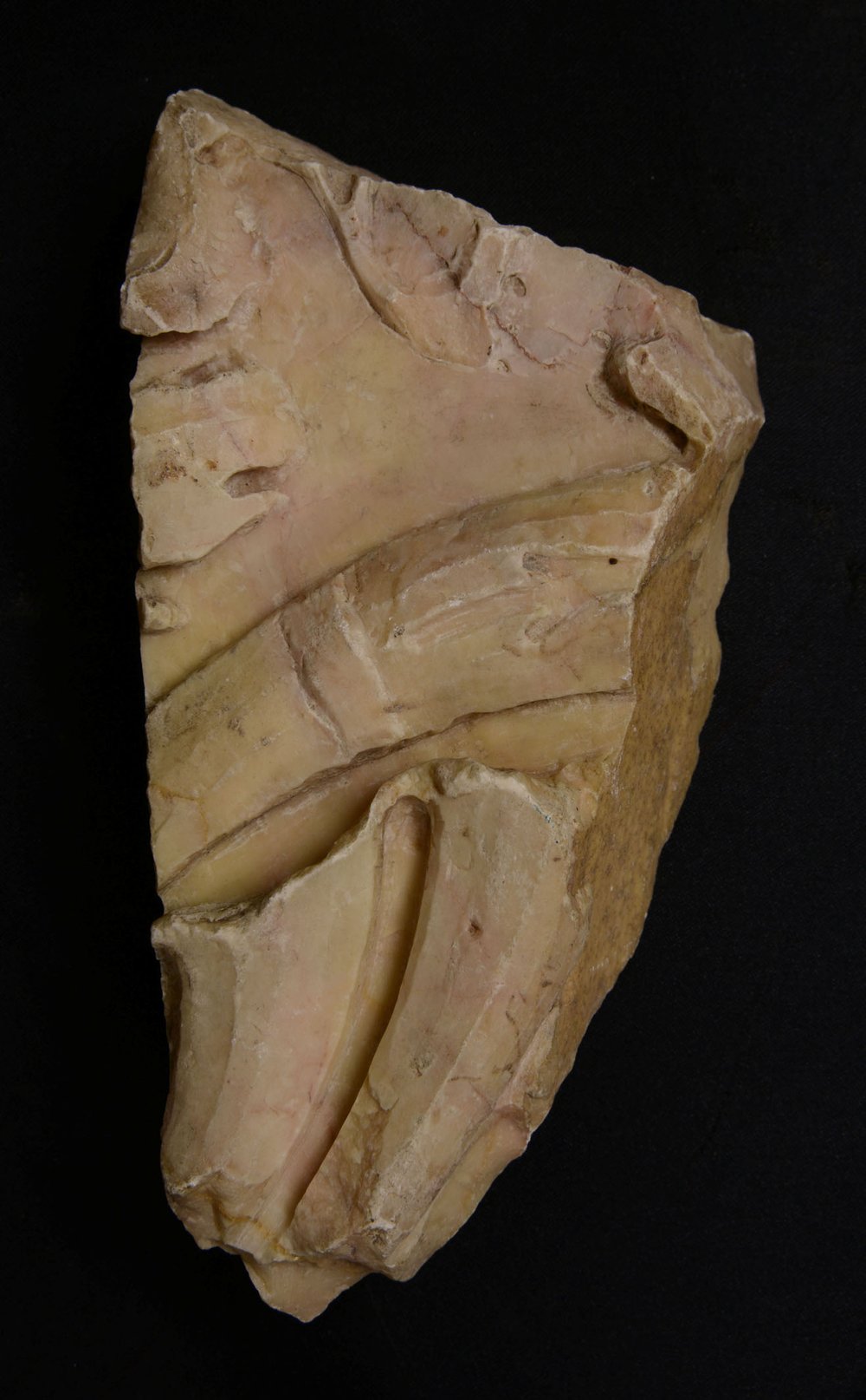 Inv.379571_1.jpg
