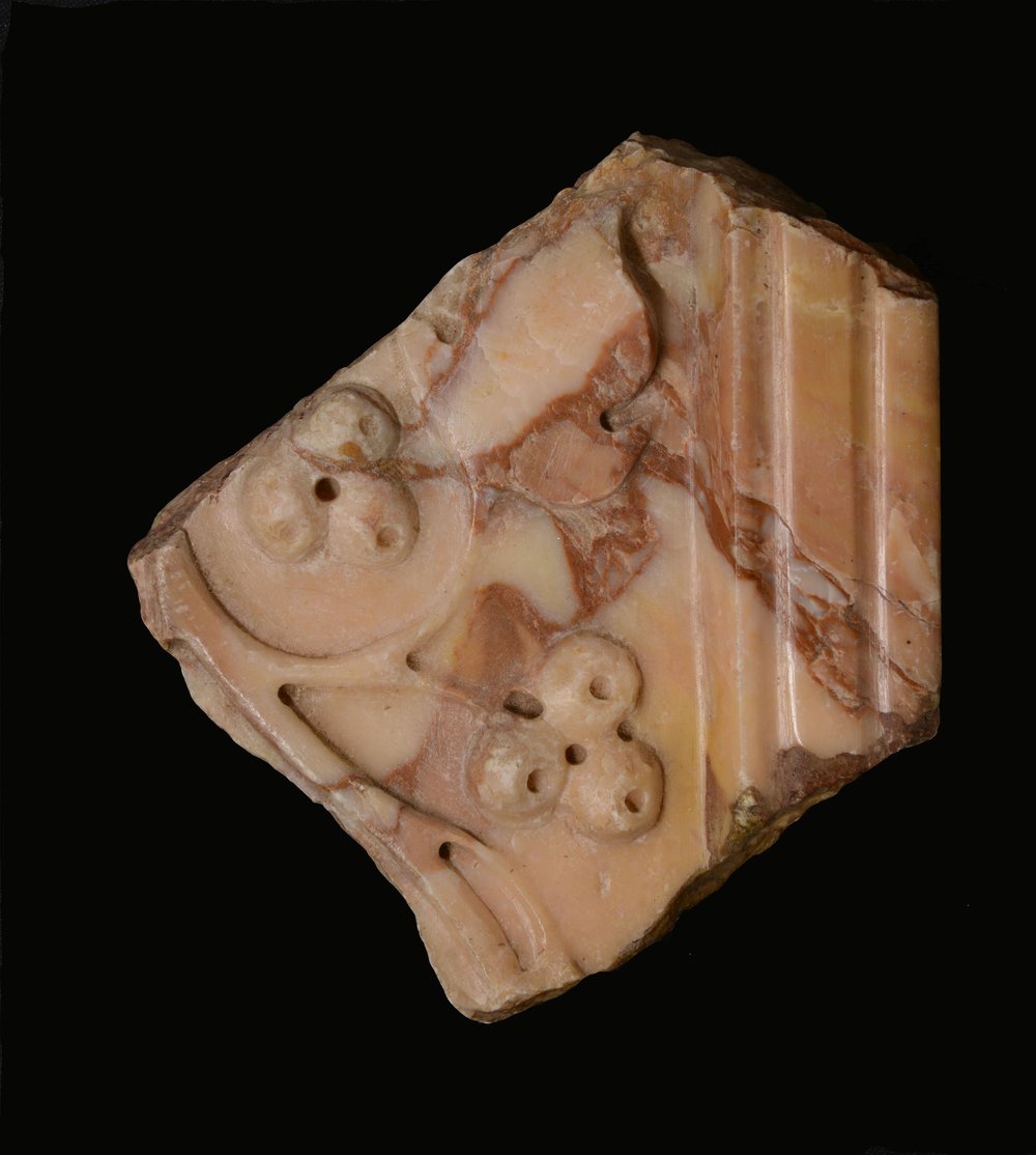 Inv11470 forse.jpg
