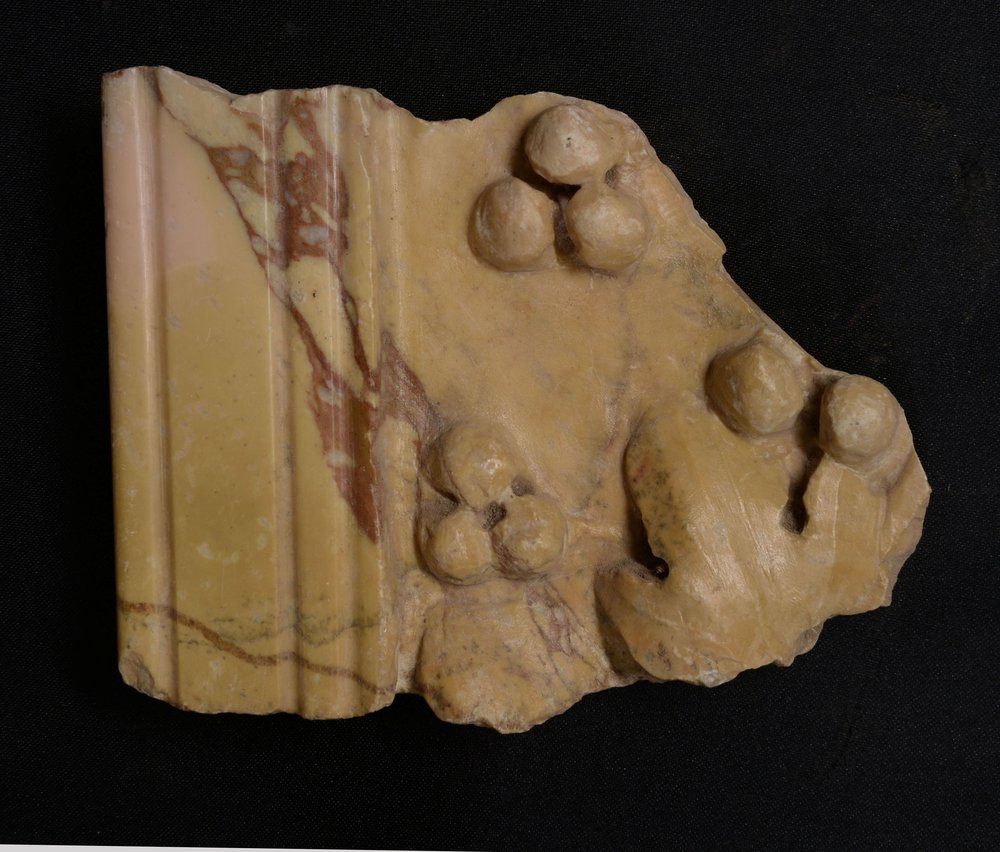 Inv11469.jpg