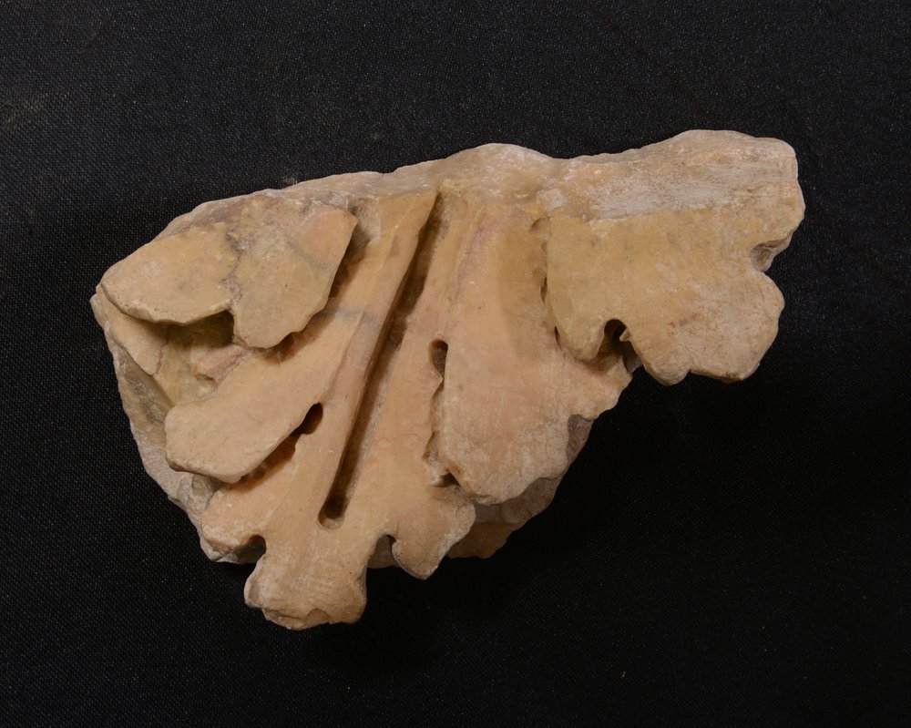 Inv.379578.TIF
