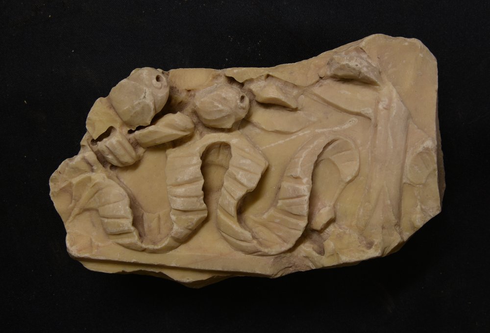 Inv. 11460.TIF