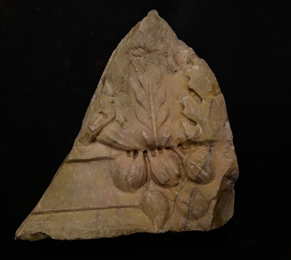 Inv. 5282214.TIF