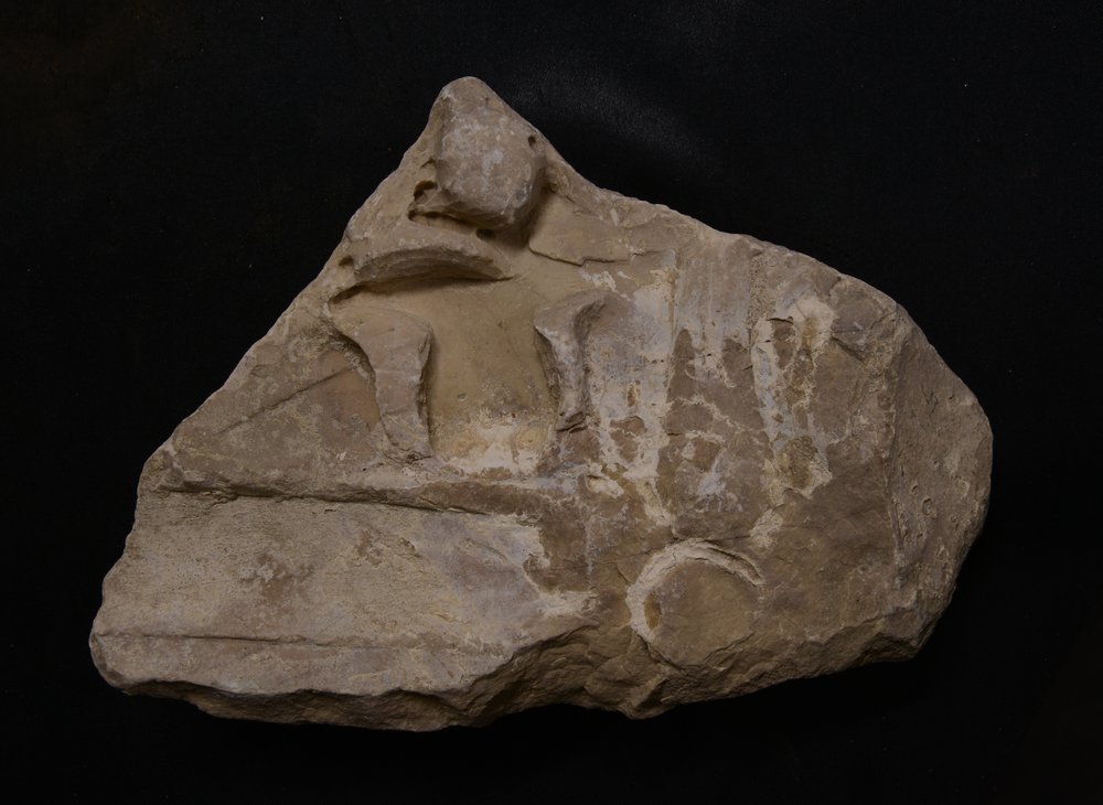Inv. 52822-5.TIF