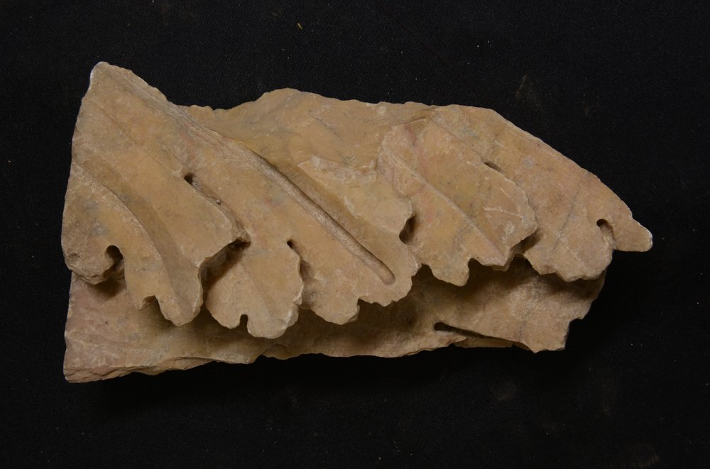 Inv.379577.TIF