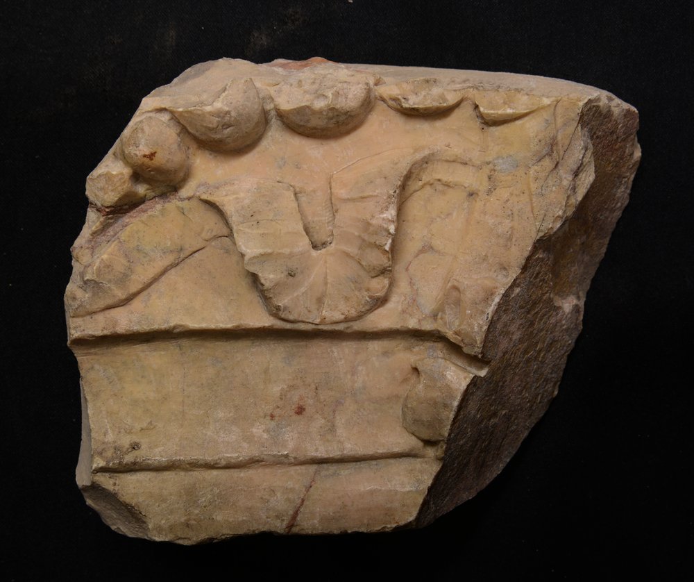 Inv.52822-3.TIF