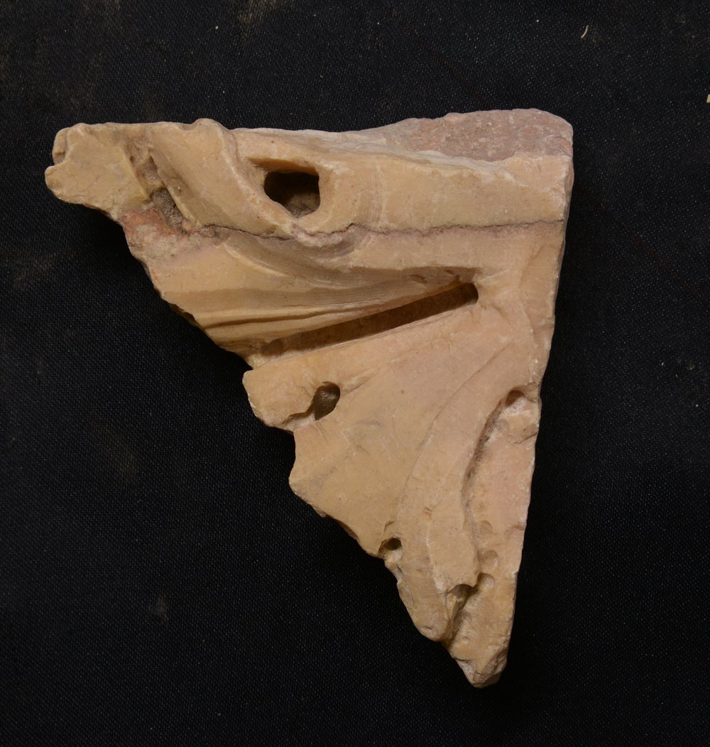 Inv.379573.TIF