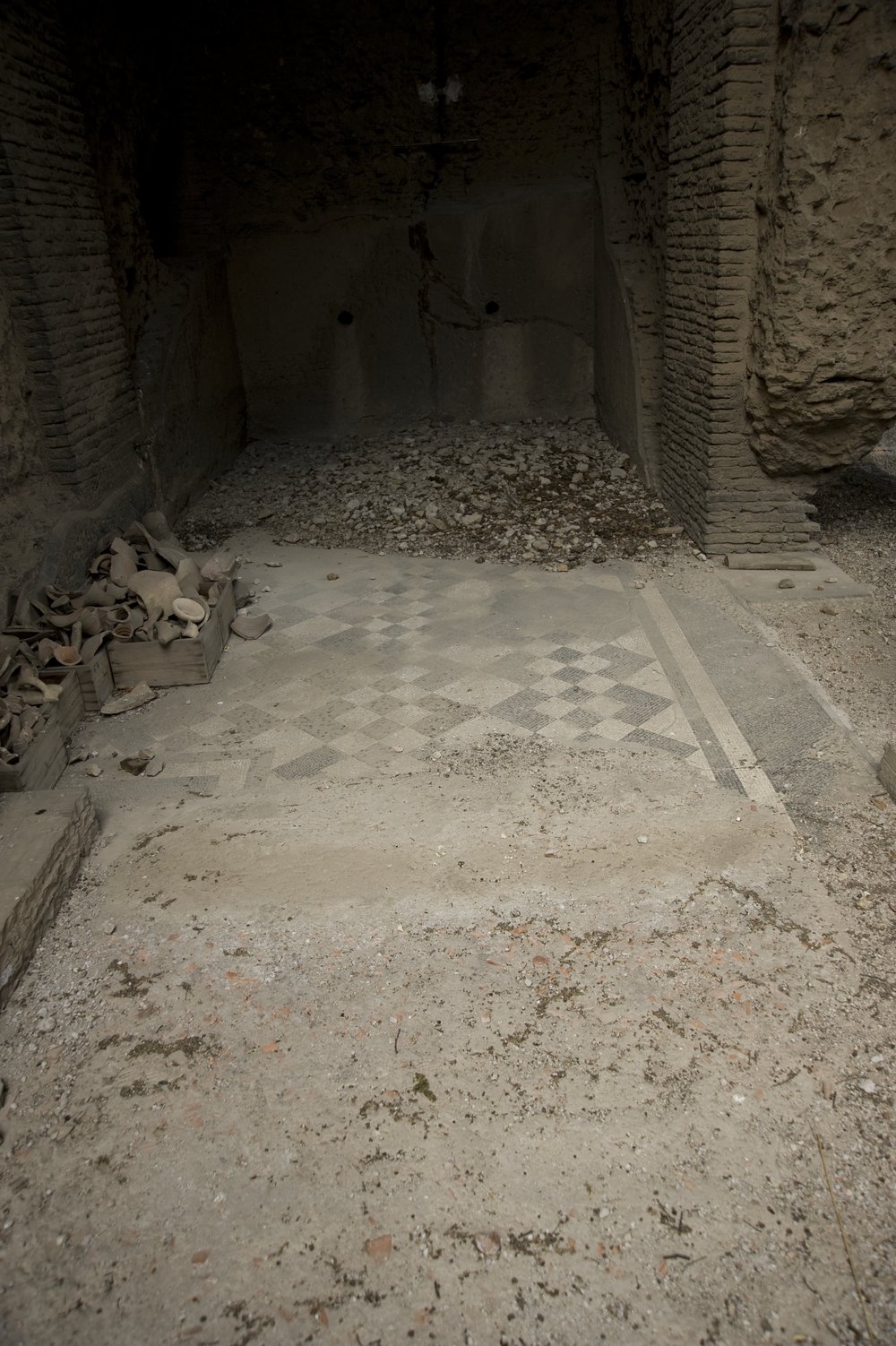 DSC_6499.TIF