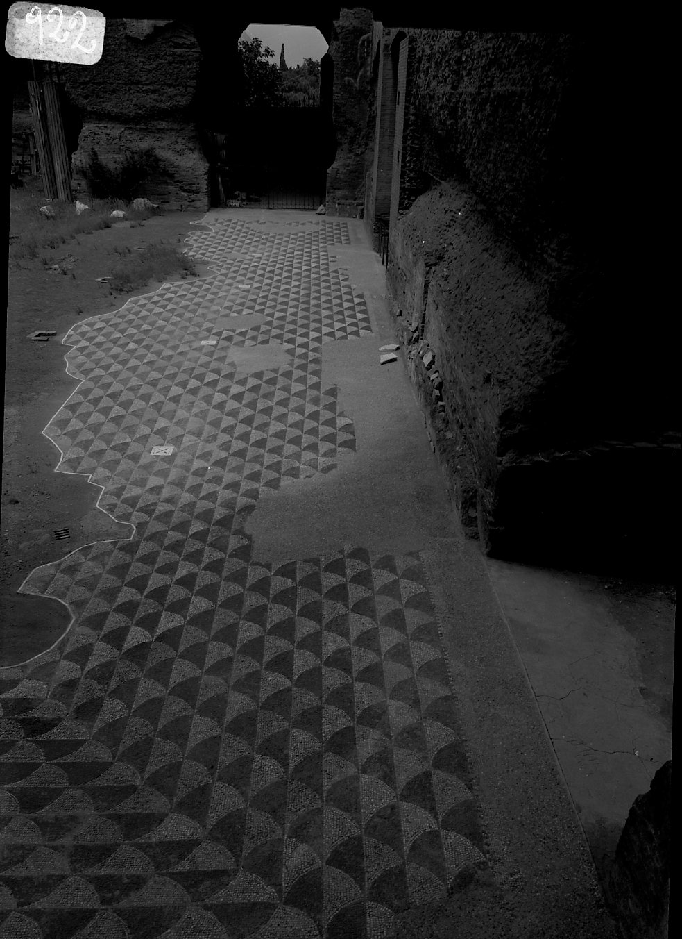 A 922 Caracalla - mosaico palestra occidentale dopo il restauro -1969.tif