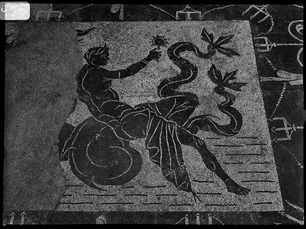 A 955 - Terme di Caracalla - palestra occidentale - ambiente piano superiore - angolo ovest - mosaico.tif