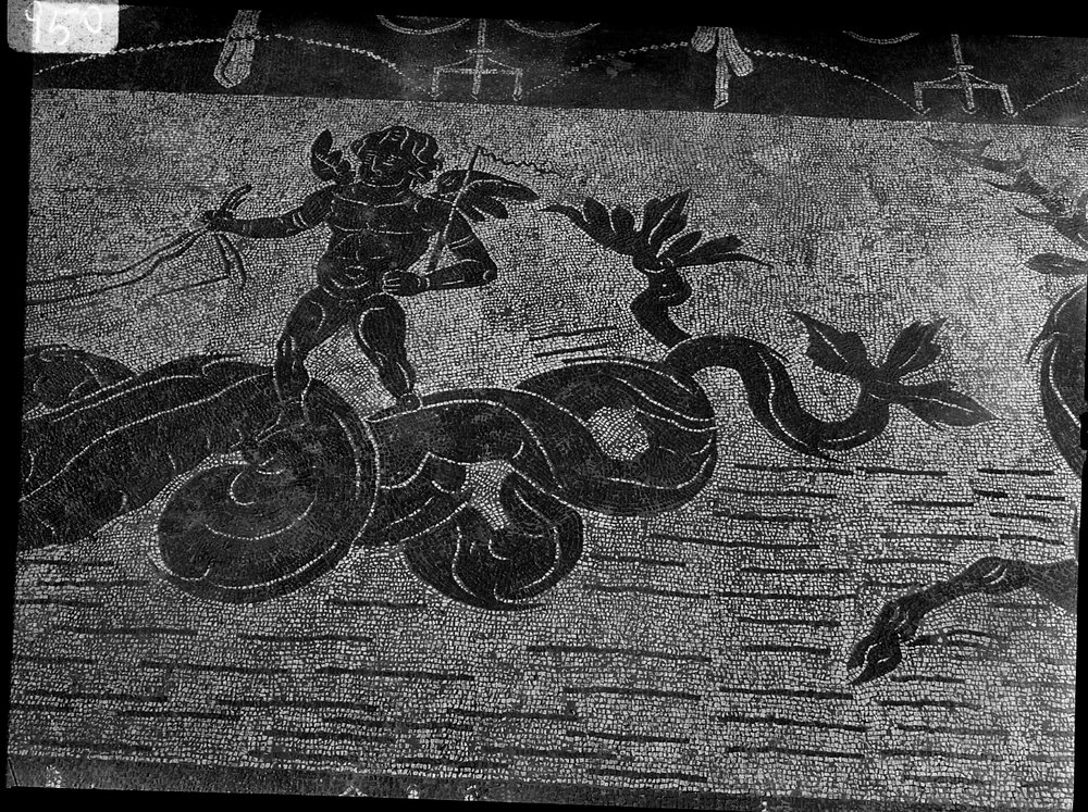 A 950 - Terme di Caracalla - palestra occidentale - ambiente piano superiore - angolo ovest - mosaico.tif