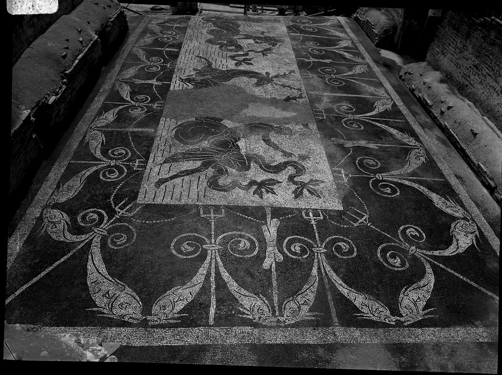 A 946 - Terme di Caracalla - palestra occidentale - ambiente piano superiore - angolo ovest - mosaico.tif