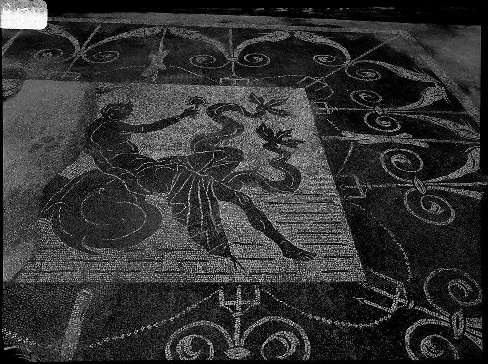 A 954 - Terme di Caracalla - palestra occidentale - ambiente piano superiore - angolo ovest - mosaico.tif