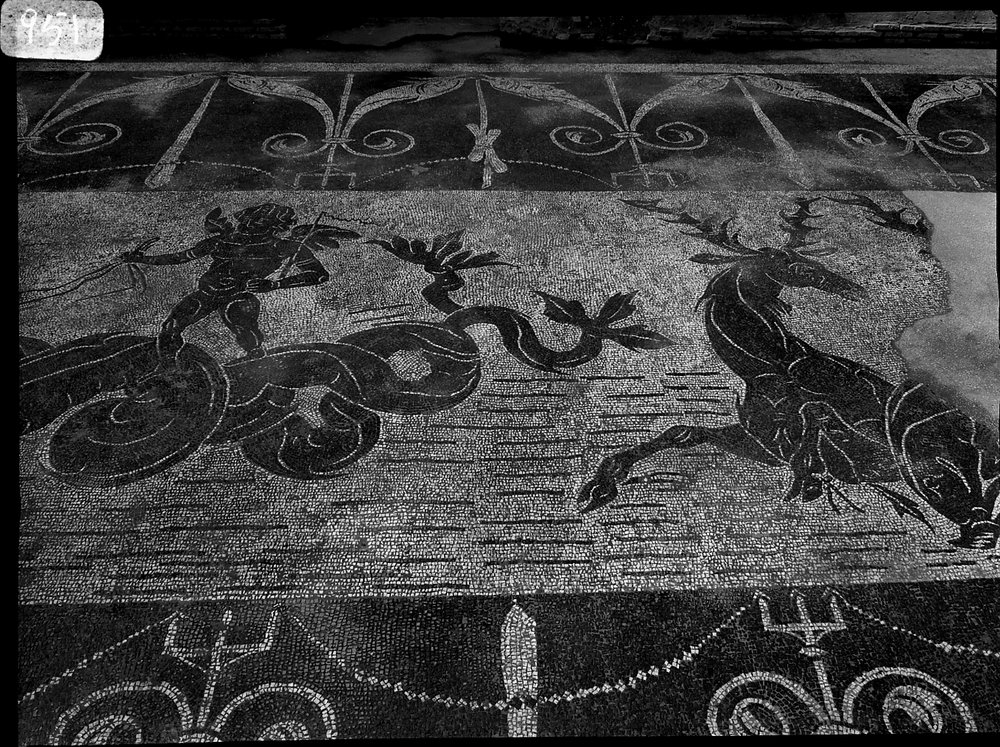 A 951 - Terme di Caracalla - palestra occidentale - ambiente piano superiore - angolo ovest - mosaico.tif