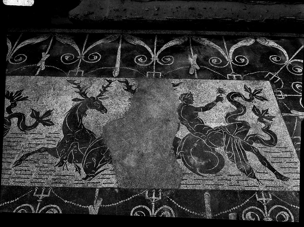 A 947 - Terme di Caracalla - palestra occidentale - ambiente piano superiore - angolo ovest - mosaico.tif