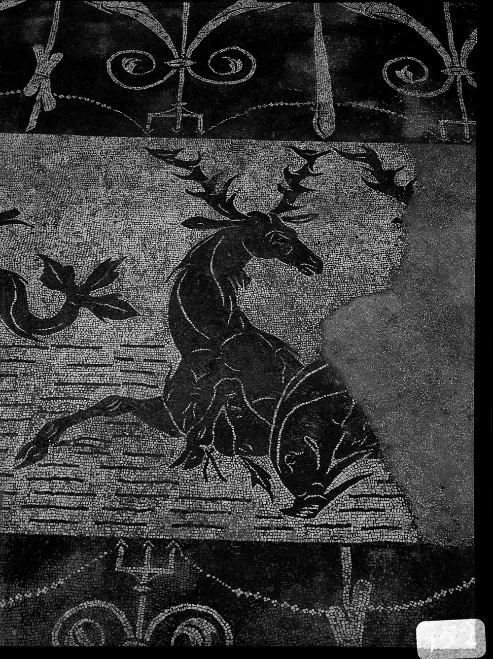 A 952  - Terme di Caracalla - palestra occidentale - ambiente piano superiore - angolo ovest - mosaico.tif