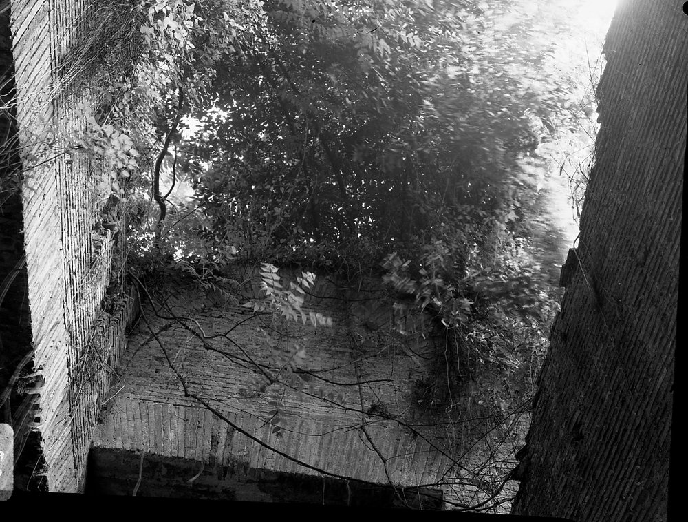 A 865 Domus Aurea - zona esterna nord - nord-ovest - fissaggio di intonaci e documentazione della vegetazione esistente sui muri ( primavera 69).tif