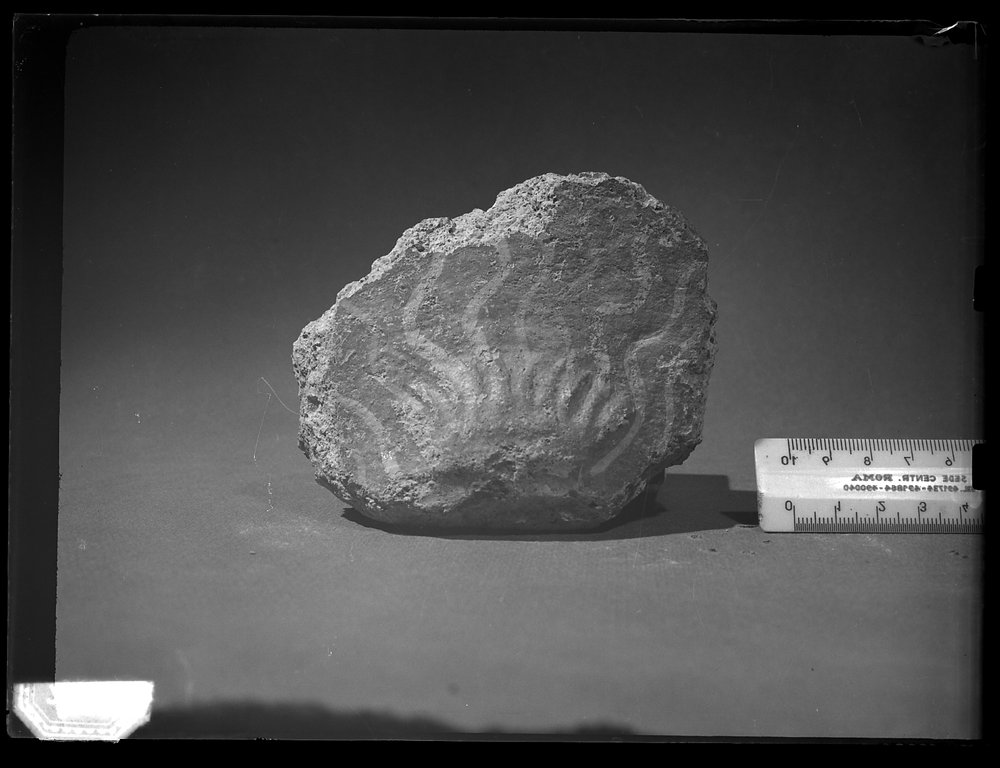 Lastra A 437 Stipe di Cibele - Palatino.tif