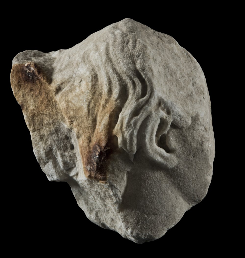 Inv 486487_00.jpg