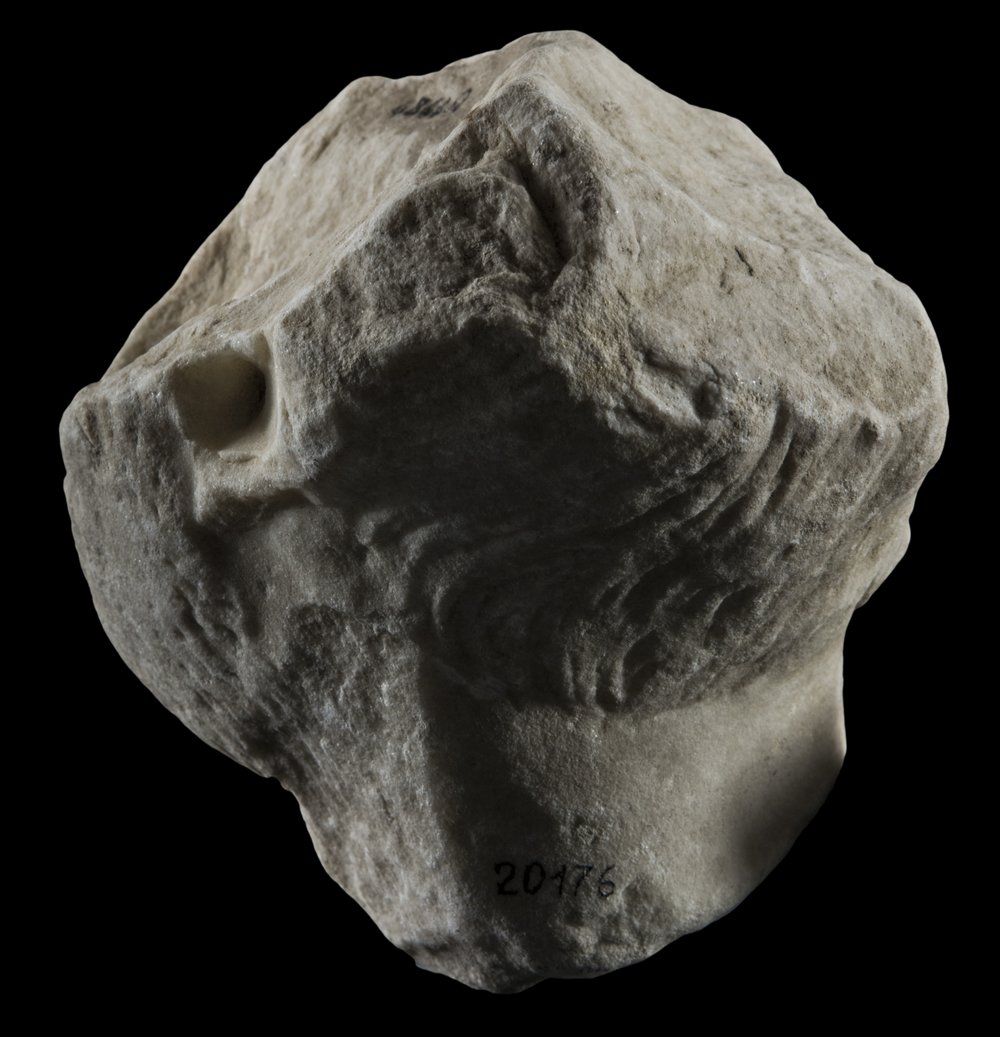 Inv 486482_04.jpg