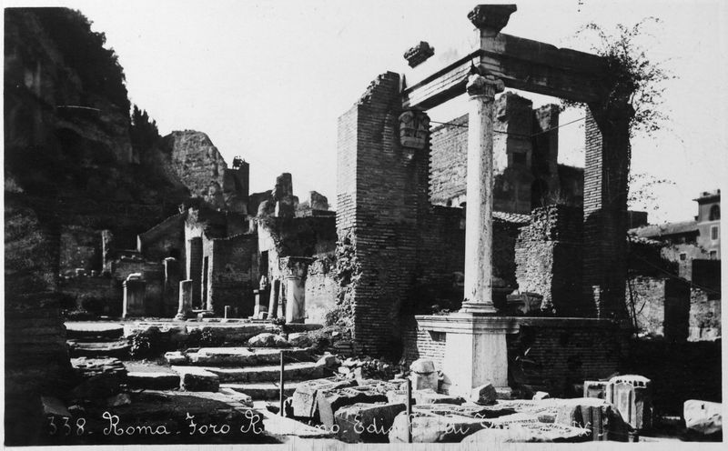 012516 - monumento - Casa delle Vestali, Atrio, veduta