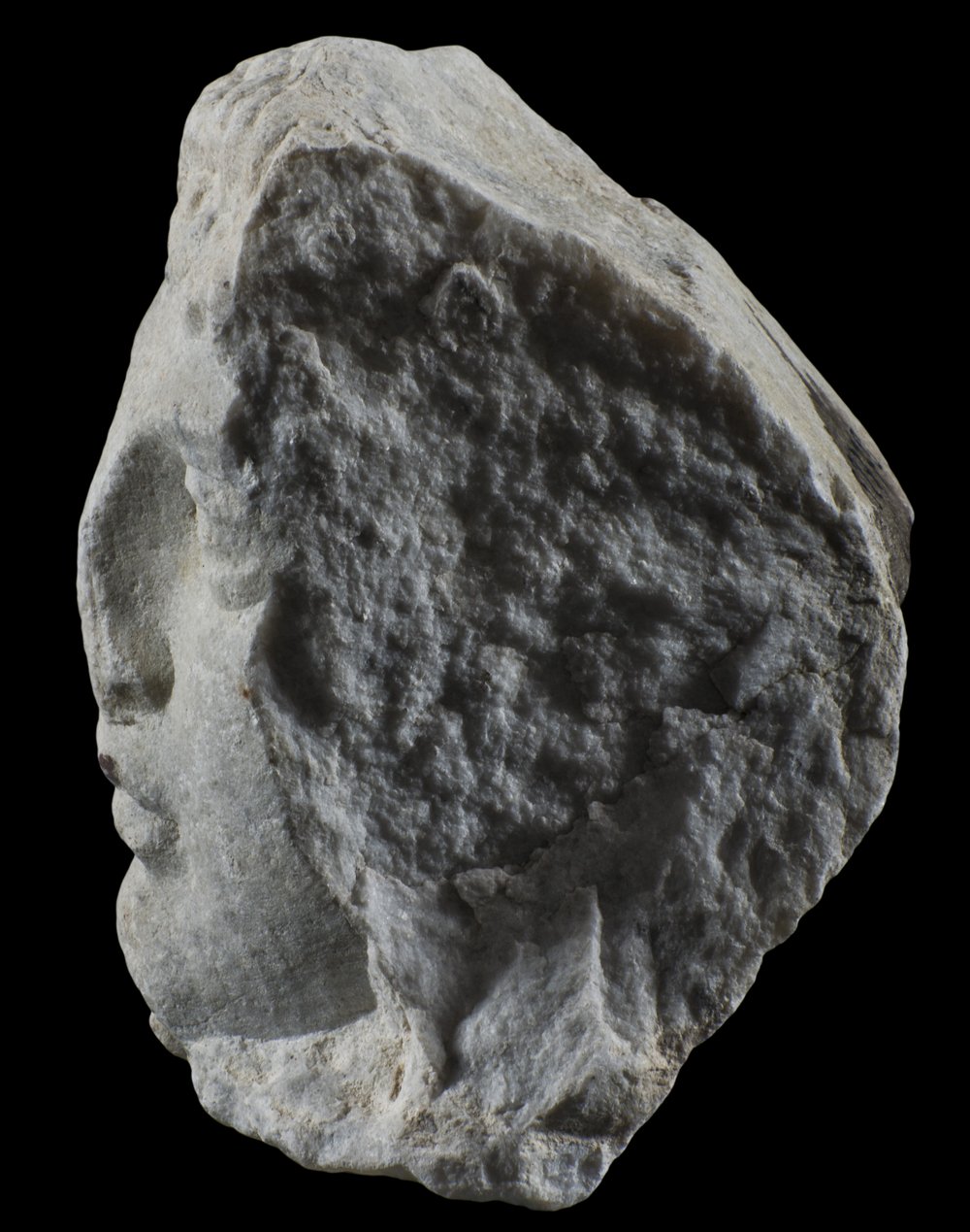 Inv 52770_04.jpg