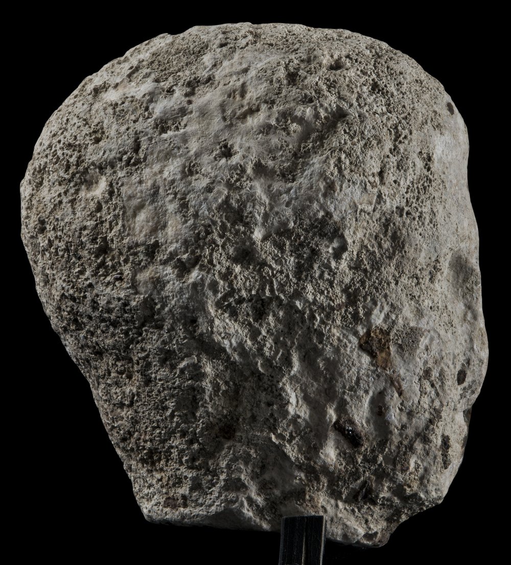 Inv 486718_02.jpg