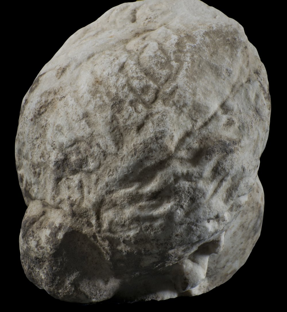 Inv 52769_03.jpg