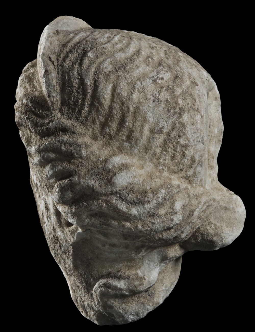 Inv 486549_04.jpg