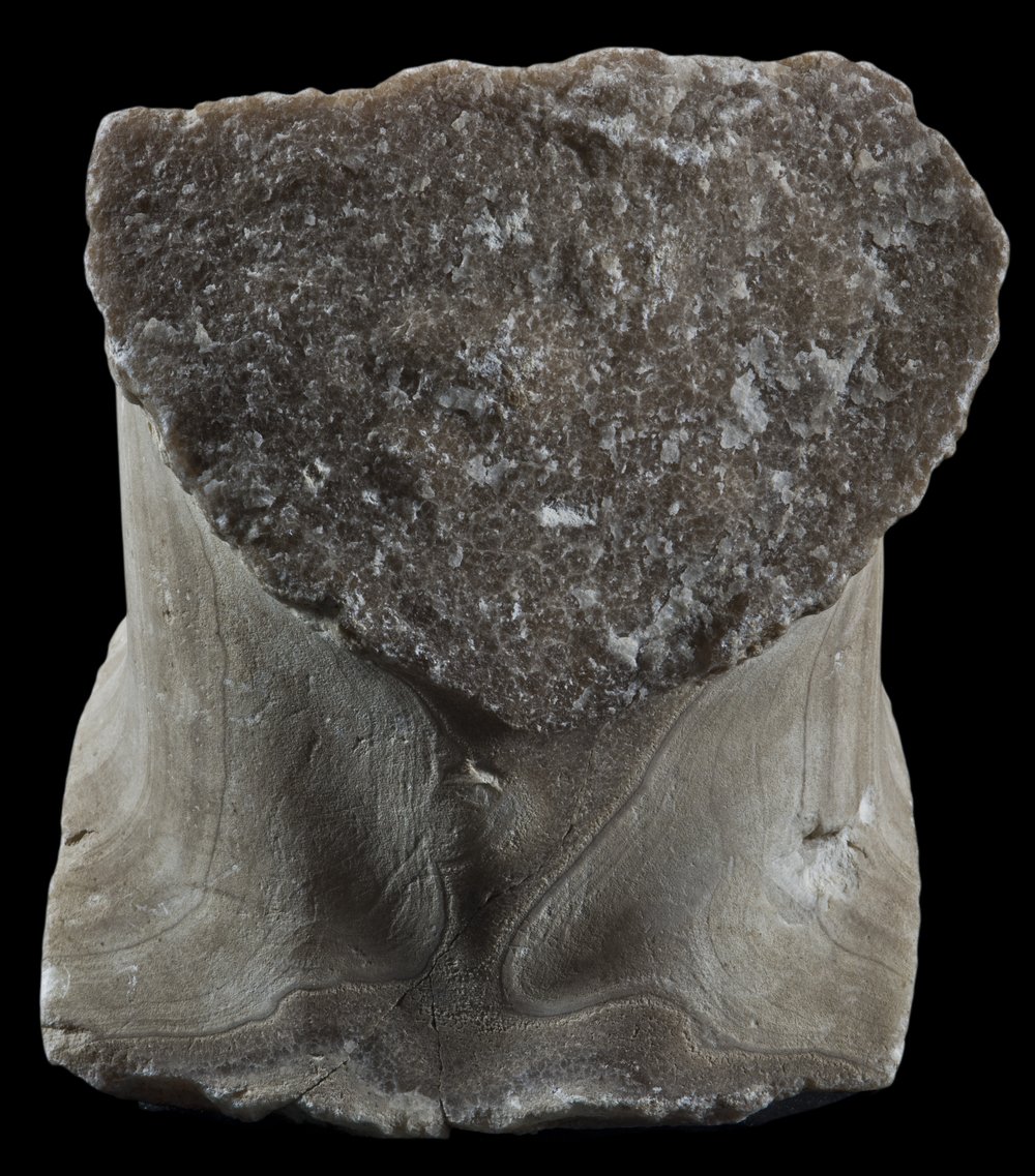 Inv 514585_00.jpg