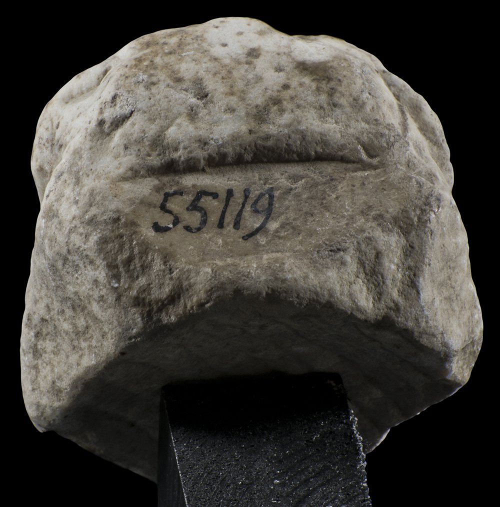 Inv 55119_04.jpg
