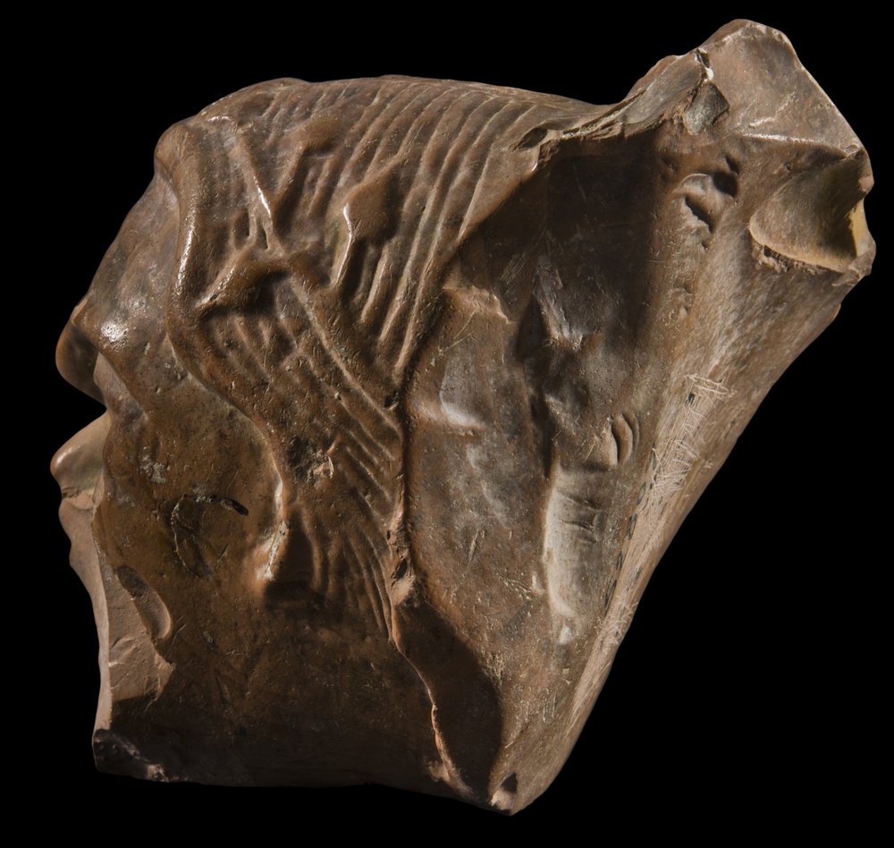 Inv 52807_04.jpg