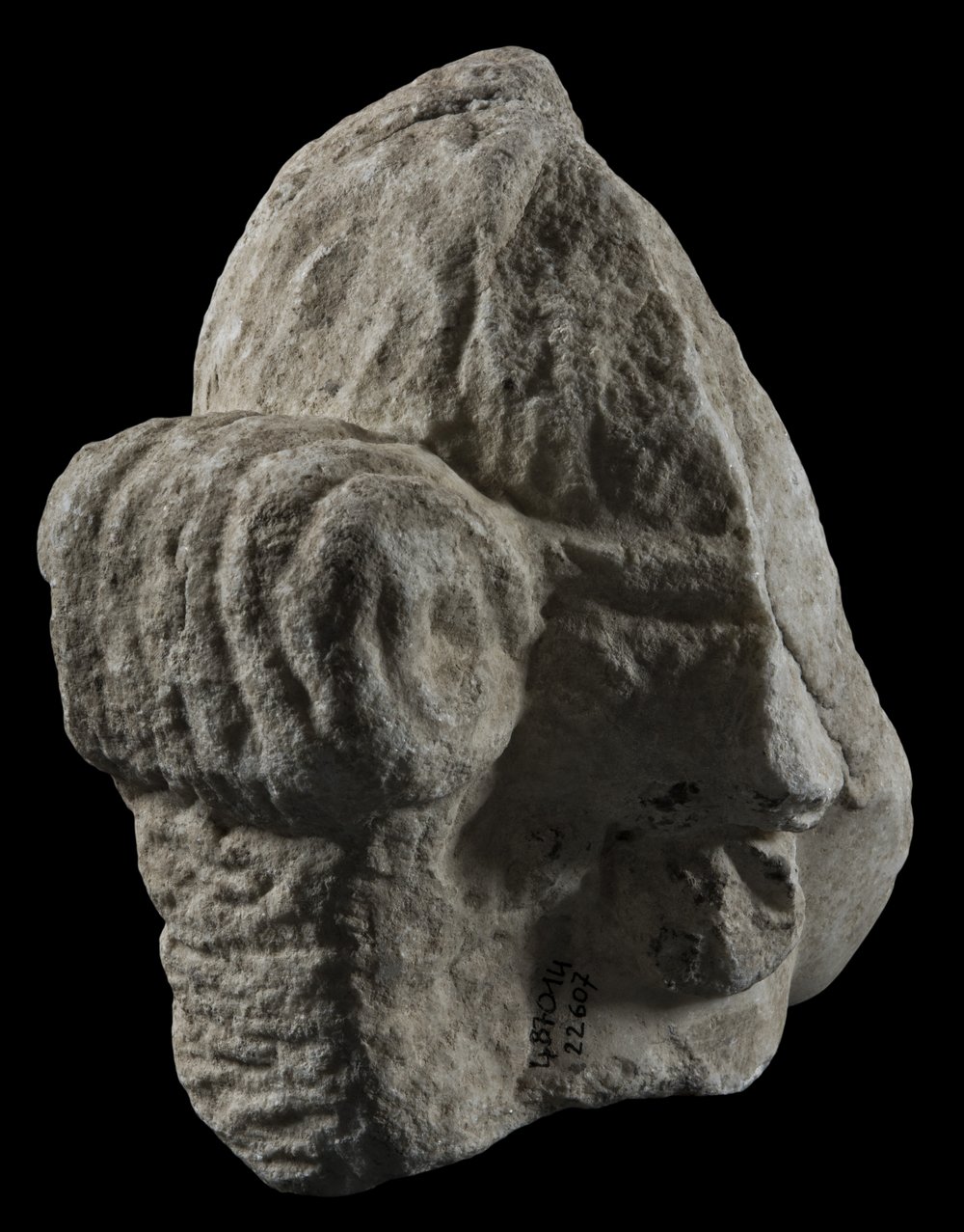Inv 487014_03.jpg