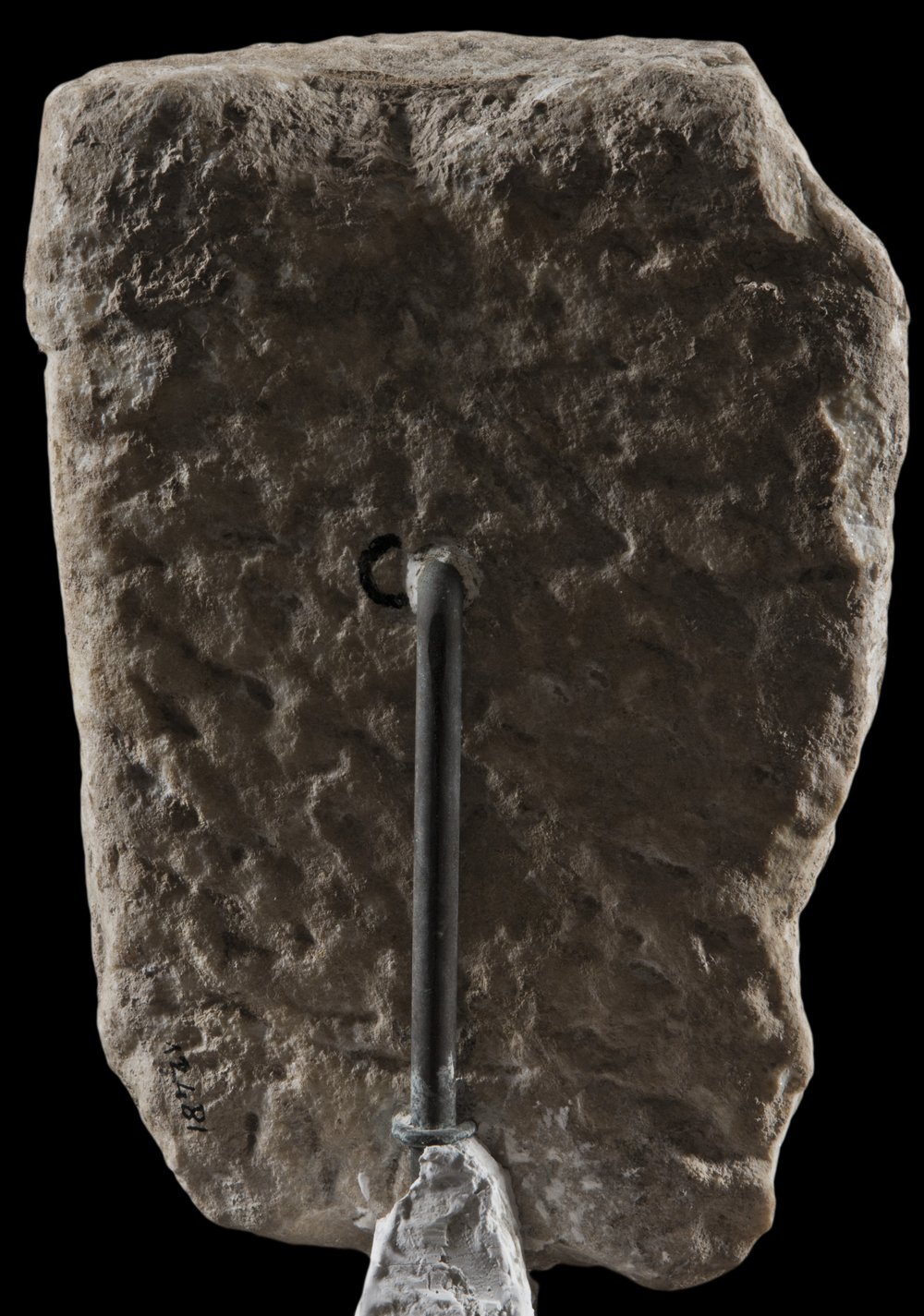 Inv 12481_03.jpg