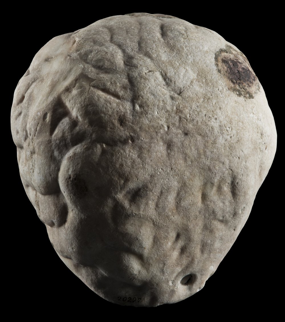 Inv 486528_02.jpg