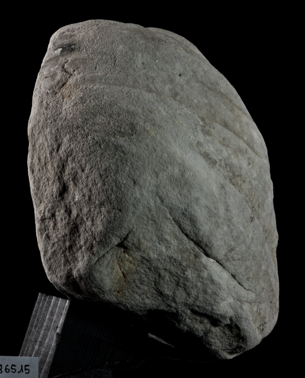 Inv 486515_04.jpg